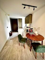 Leedon Green (D10), Condominium #559163671